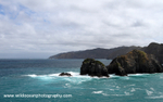 NZ025: Arriving at South Island