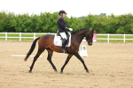 SBM_005396