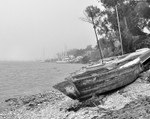 Morning Fog