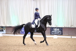 SBM_009082