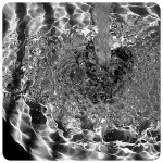 theme 8 week 3: WATER