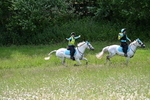 WJ7_8721