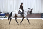 SBM_02451