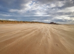 Windswept - Brancaster Beach