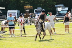 SBM_13623