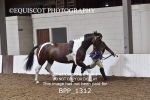 BPP_1312