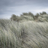 Gun Hill, Burnham Overy, Norfolk