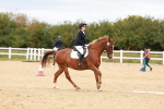 SBM_001371