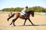 SBM_003379