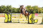 SBM_000329
