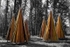 Credit Cass Sculpture Foundation Encampment