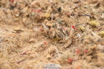 230429A-095030-00061