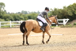 SBM_000295