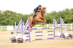 SBM_007934