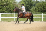 SBM_012194