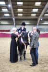 Class G Ridden Pony Champ portfolio