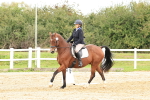 SBM_001455