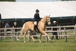 SBM_09154