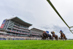 260725-Race 2-Elmonjed-7905