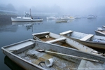 Fogged In II - Perkins Cove