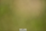 240523B-123656-02194