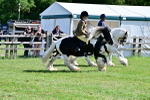 SBM_09308