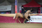 SBM_09246
