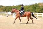 SBM_011793