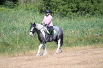 WJ7_8002