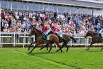010726-Race 4-Barmyblade-8298
