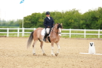 SBM_006432
