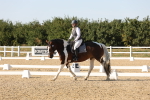 SBM_006988