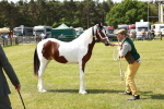 SBM_04179