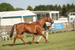 SBM_10454