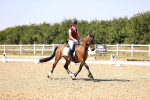 SBM_005603