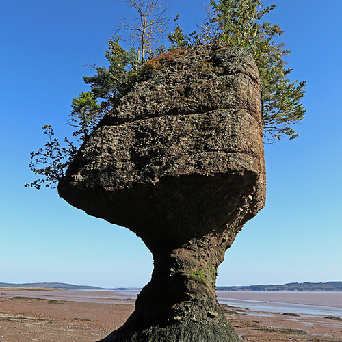 The Rocks @ Hopewell Cape