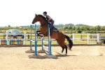 SBM_006527