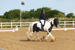 SBM_006970