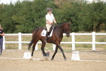 SBM_009066