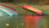 Ducks & red canoe