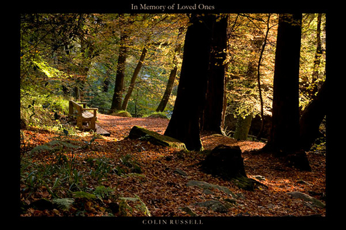 A bench placed in memory of loved ones at their favourite place. No denying they had good taste. Autumn light at Bal…