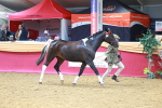 SBM_02986