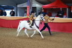 SBM_07767