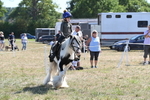 WJ6_8944