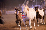 3HRodeo7-12-24_LJD_3HR5335_LJD