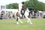 SBM_17226