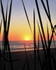 Carlsbad Sunset