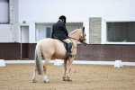 SBM_000338