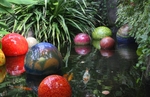 Franklin Conservatory Pond Balls