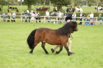 SBM_62791